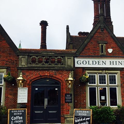 golden-hind-thumbnail