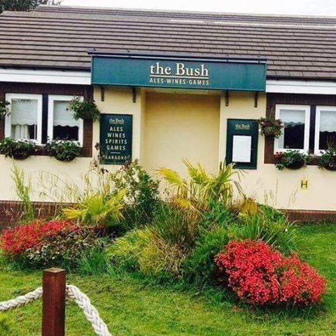 the-bush-thumbnail