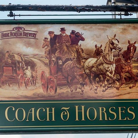 coach-horses-thumbnail