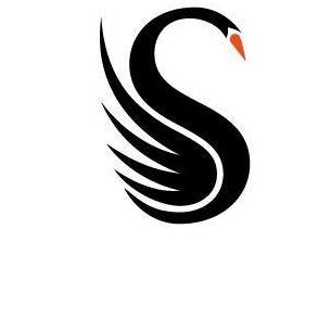 the-black-swan-thumbnail