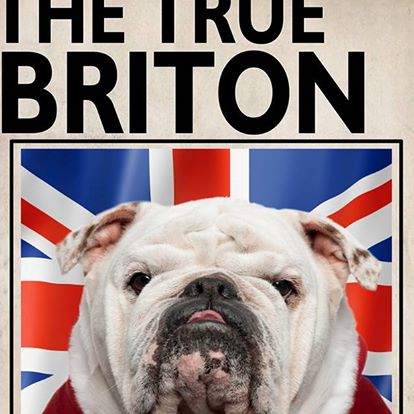 the-true-briton-thumbnail