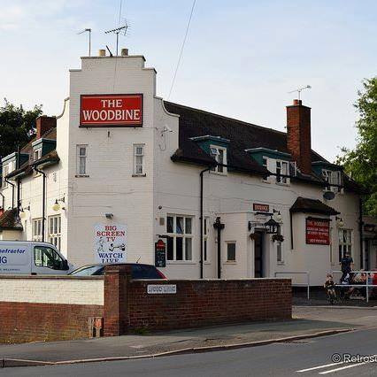 the-woodbine-thumbnail