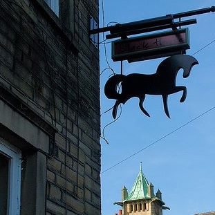the-black-horse-thumbnail