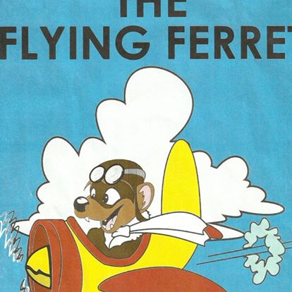 the-flying-ferret-thumbnail