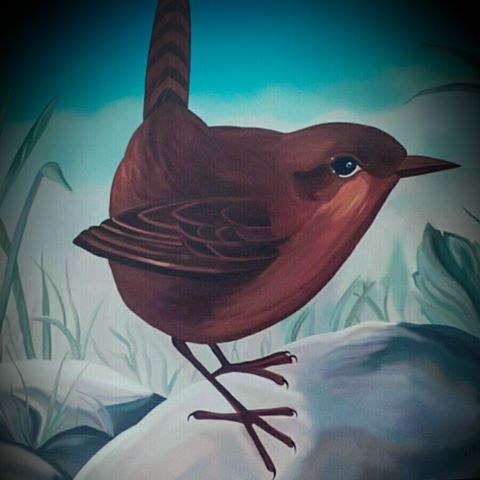 the-jenny-wren-thumbnail
