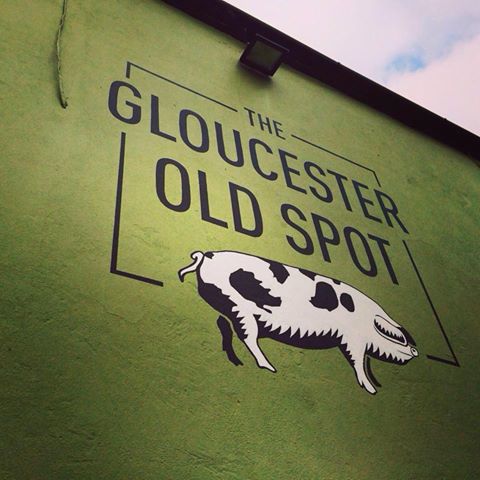 the-gloucester-old-spot-thumbnail