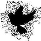 the-black-dove-thumbnail