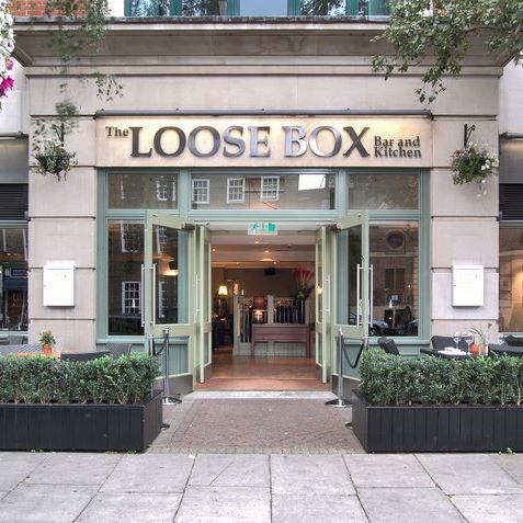 the-loose-box-thumbnail