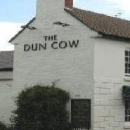 dun-cow-thumbnail