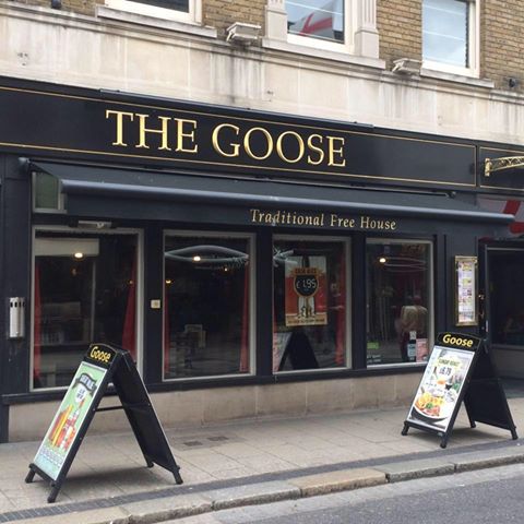 the-goose-thumbnail