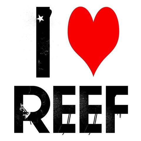 the-reef-thumbnail