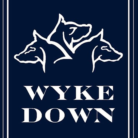 wyke-down-thumbnail