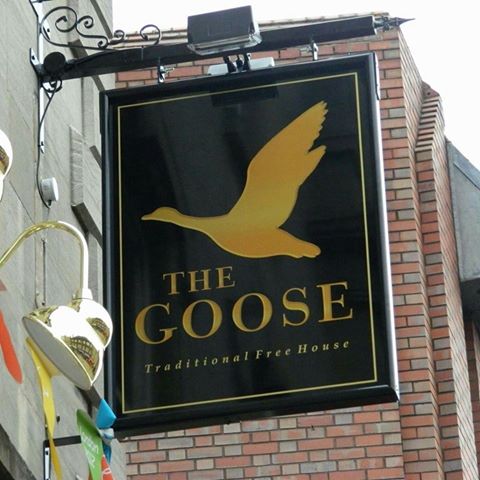 the-goose-thumbnail