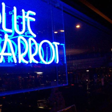 blue-parrot-thumbnail