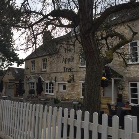 apple-tree-thumbnail