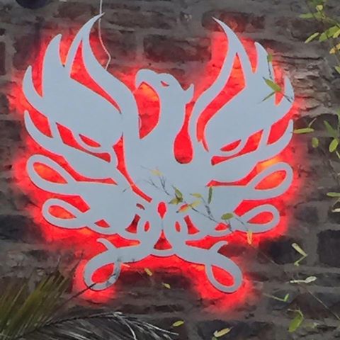 the-phoenix-thumbnail