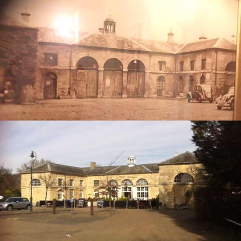 the-danson-stables-thumbnail