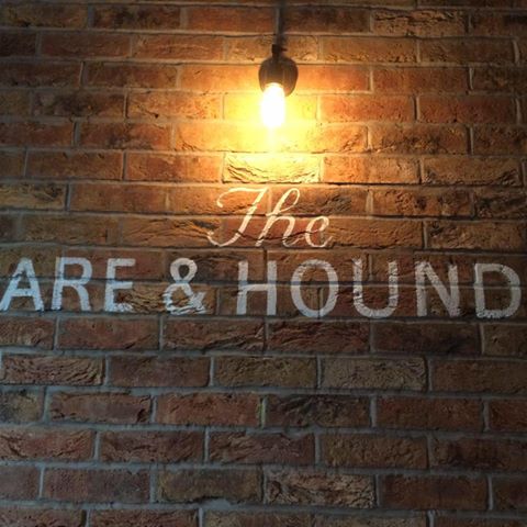hare-hounds-thumbnail