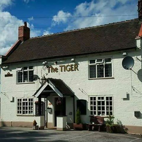the-tiger-thumbnail