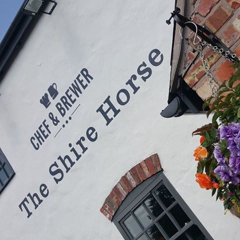 shire-horse-thumbnail