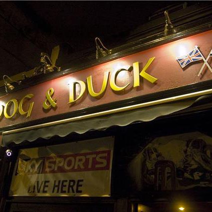 the-dog-duck-thumbnail