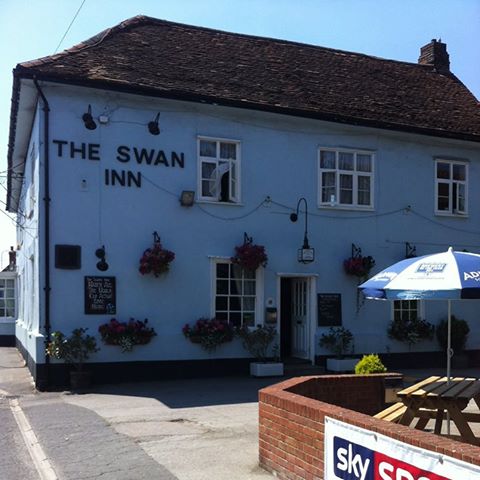 the-swan-thumbnail