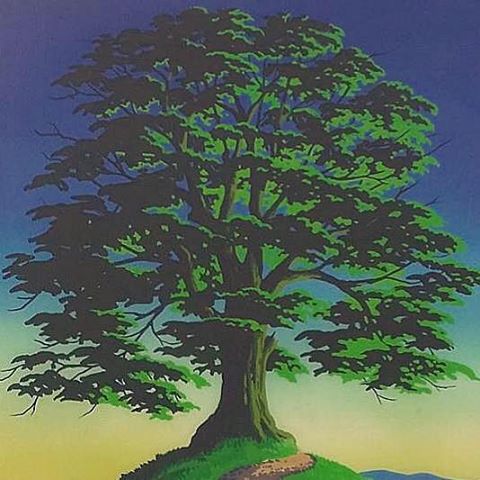 the-beacon-tree-thumbnail