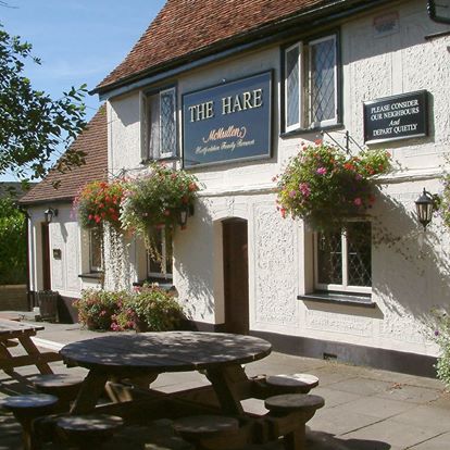 the-hare-thumbnail