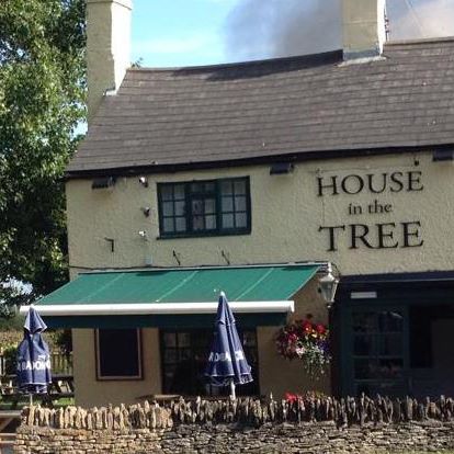 house-in-the-tree-thumbnail