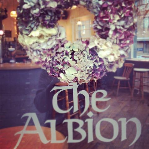 the-albion-thumbnail