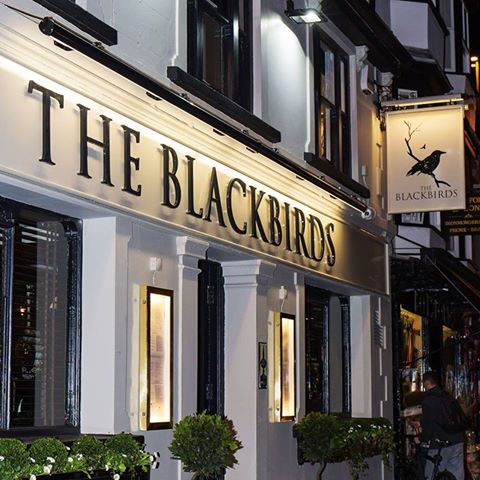 the-blackbirds-thumbnail