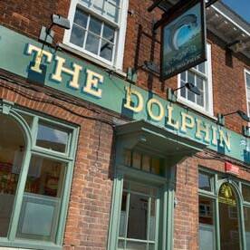the-dolphin-thumbnail