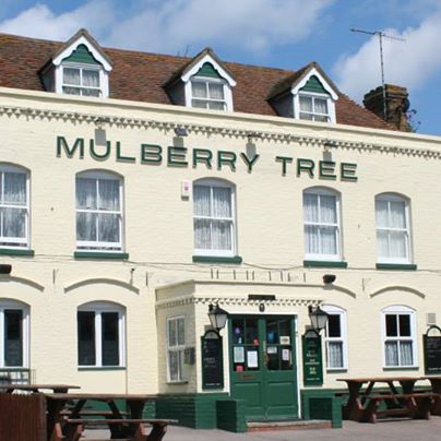the-mulberry-tree-thumbnail