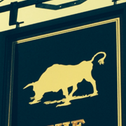 the-bull-thumbnail