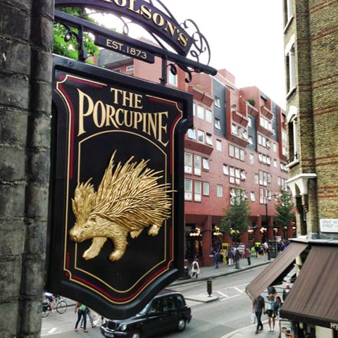 the-porcupine-thumbnail