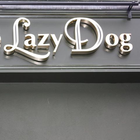 the-lazy-dog-thumbnail