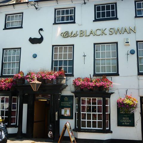 the-old-black-swan-thumbnail