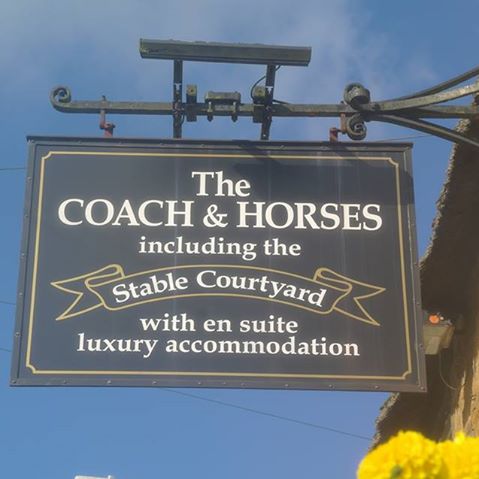 coach-horses-thumbnail