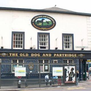old-dog-partridge-thumbnail