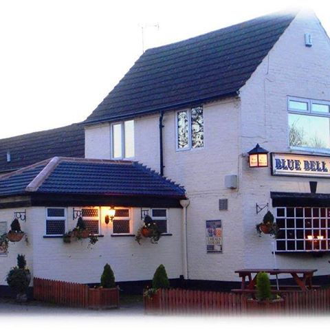 blue-bell-thumbnail