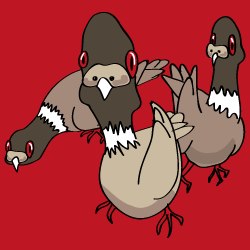 the-three-pigeons-thumbnail
