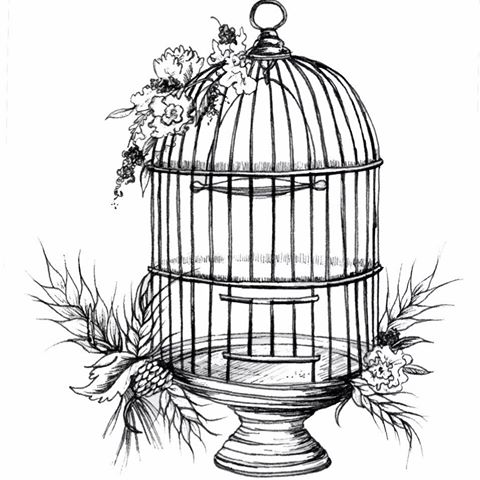 the-birdcage-thumbnail